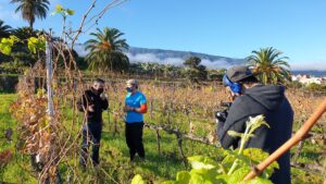 Nos adentramos en la Bodega Tajinaste para descubrir la importancia del vino en la historia de las islas y hacer una pequeña cata de vinos.