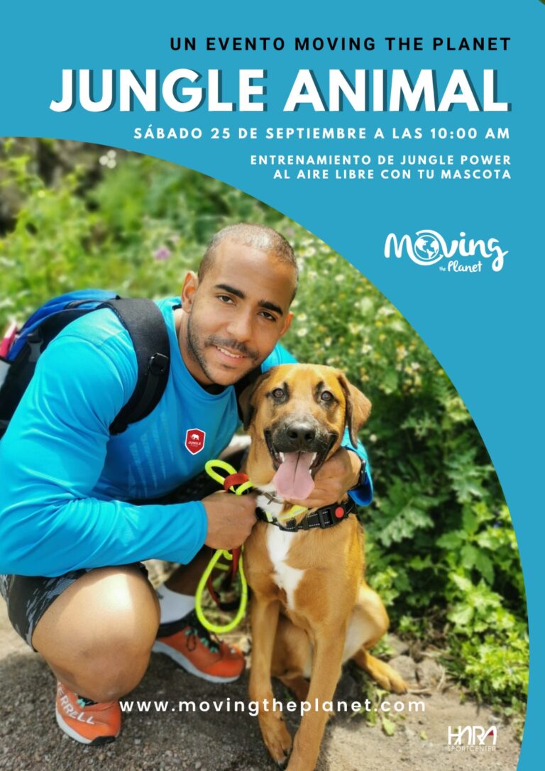 Este próximo sábado 25, se celebrará el Jungle Animal, un evento solidario, para recaudar alimentos y fondos para los animales abandonados.