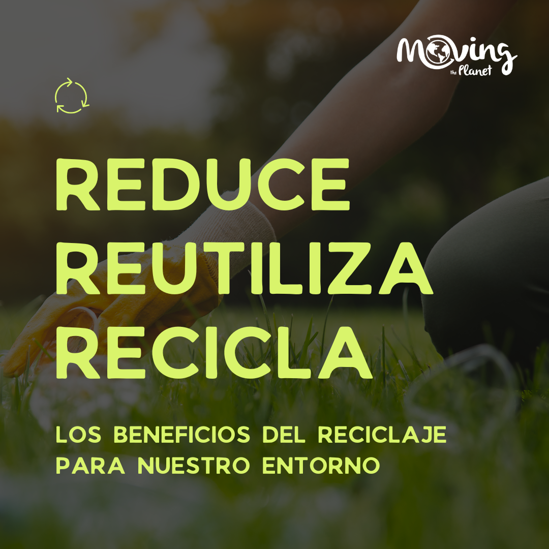 Aquí se exploran los beneficios del reciclaje, así como la importancia de que tanto empresas como particulares se involucren activamente.