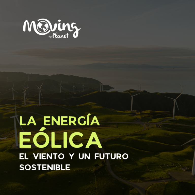 La energía eólica es una de las fuentes renovables más prometedoras y en crecimiento en el mundo. Te explicamos como funciona.