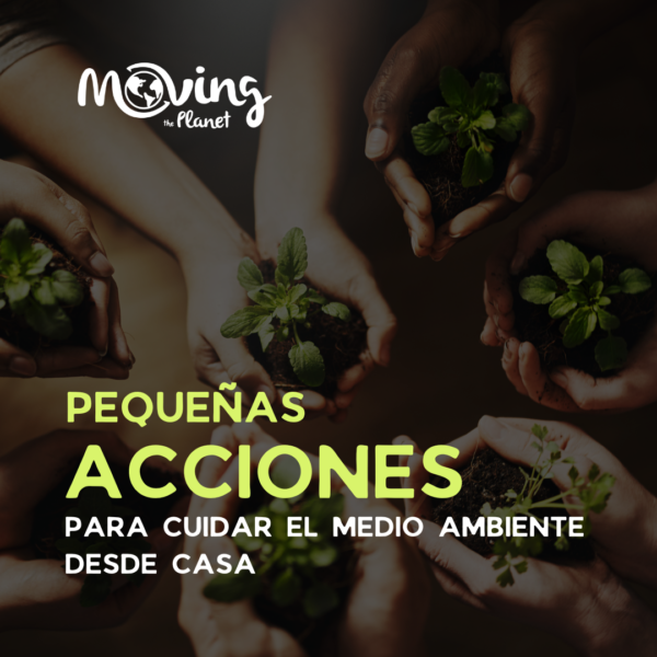 Pequeñas acciones para cuidar el Medio Ambiente desde casa: cada gesto ...