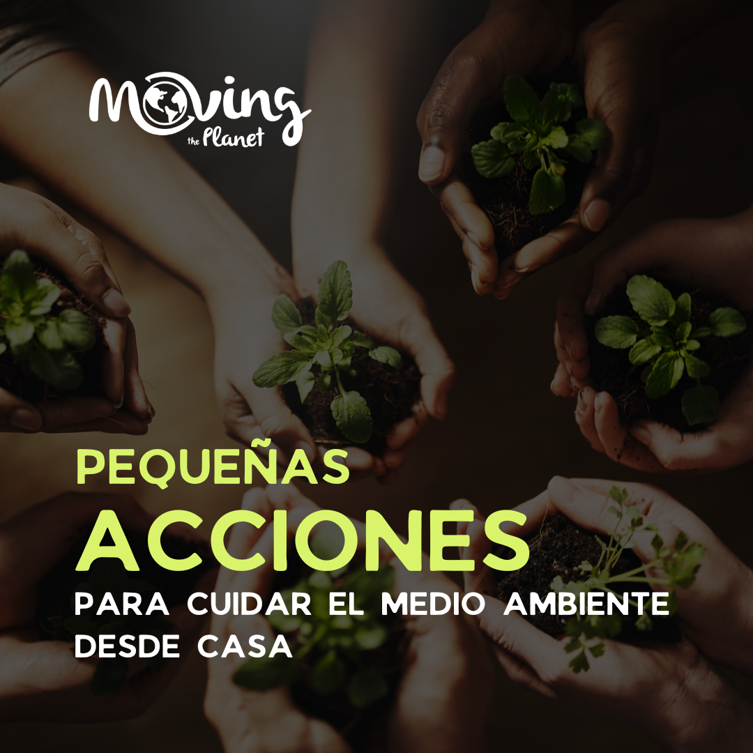 Te presentamos algunas acciones sencillas que puedes incorporar en tu rutina diaria para contribuir al cuidado del medio ambiente desde casa.