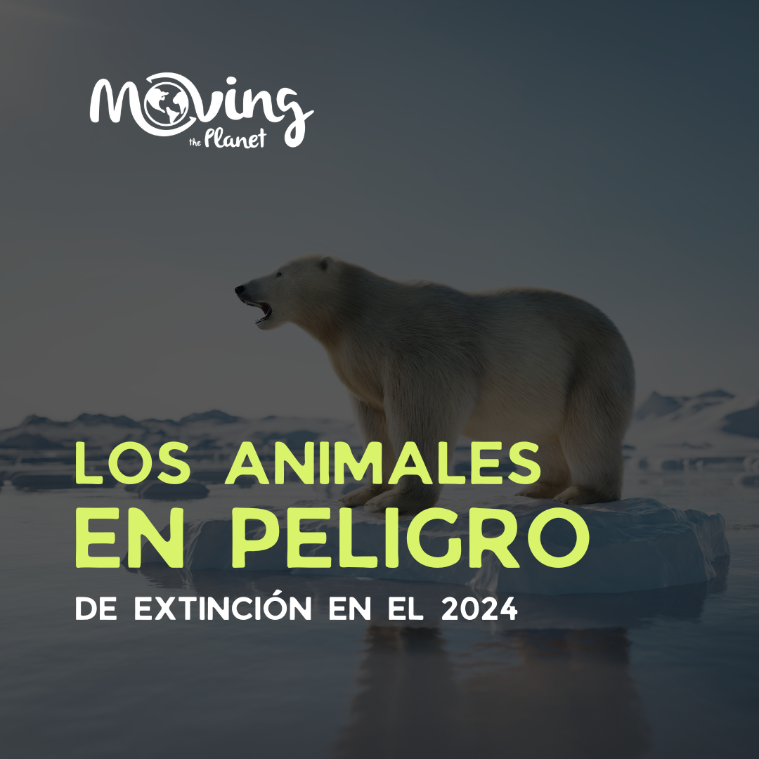 El 20% de las especies animales están en peligro de extinción, producto de la actividad humana que ha alterado drásticamente sus ecosistemas.